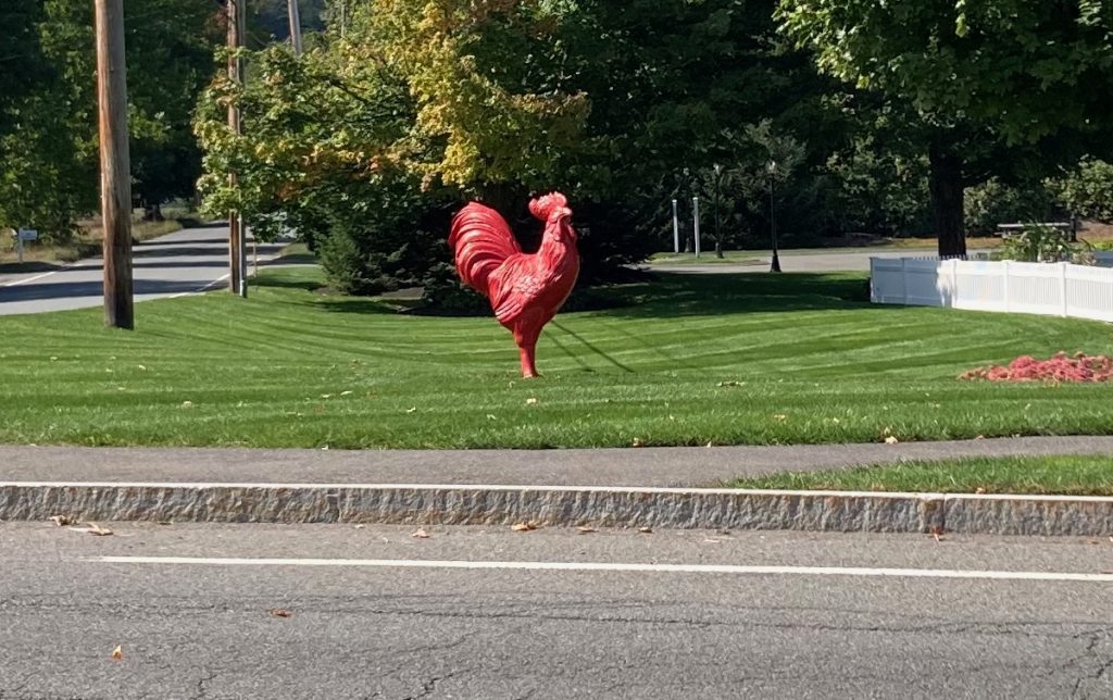 Red statue of a rooster, on a lawn near a roadside.  There are some trees in the background.