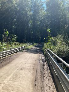 Dirt road heading off of bridge with guardrails.  Road is surrounded by trees, which shade it almost completely.