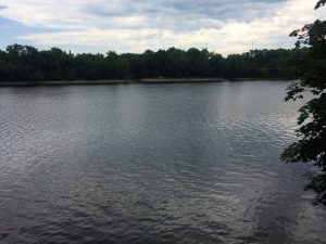 View of river with trees on far bank.