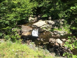 Small waterfall in a stream in the woods, seen from uphill.