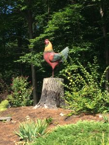 Painted sculpture of a rooster, standing on an actual tree stump, with trees and shrubs in background.