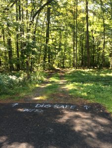 Asphalt pavement at bottom of the photo, with a dirt trail extending beyond it into the woods.  The words "dig safe" are spray painted on the pavement edge.