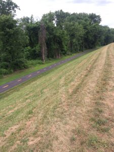 Looking down at paved recreation trail from grassy flood levee.