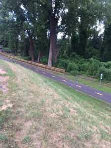 Another angle, looking down at paved recreation trail from grassy flood levee.
