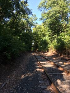 Railroad tracks stretching into the distance toward the left, with trees on either side.