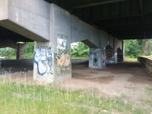 Graffiti of a dog, a beer bottle, and other images, painted on concrete support of freeway overpass.