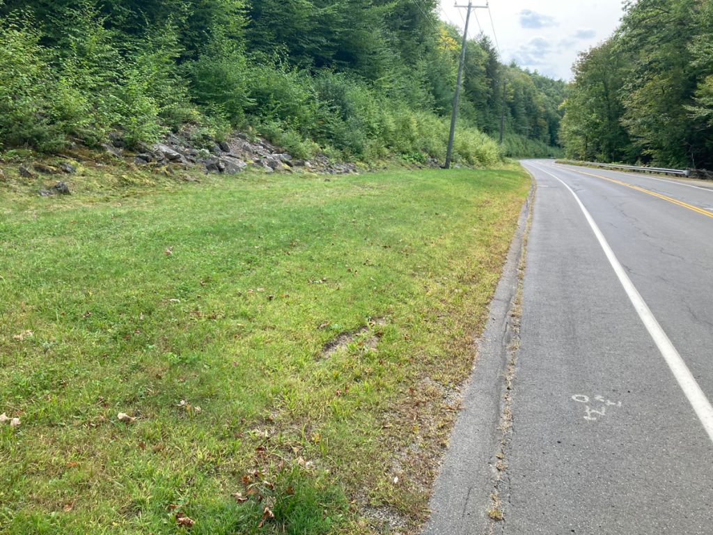 Grassy area on left, with road surface on right.