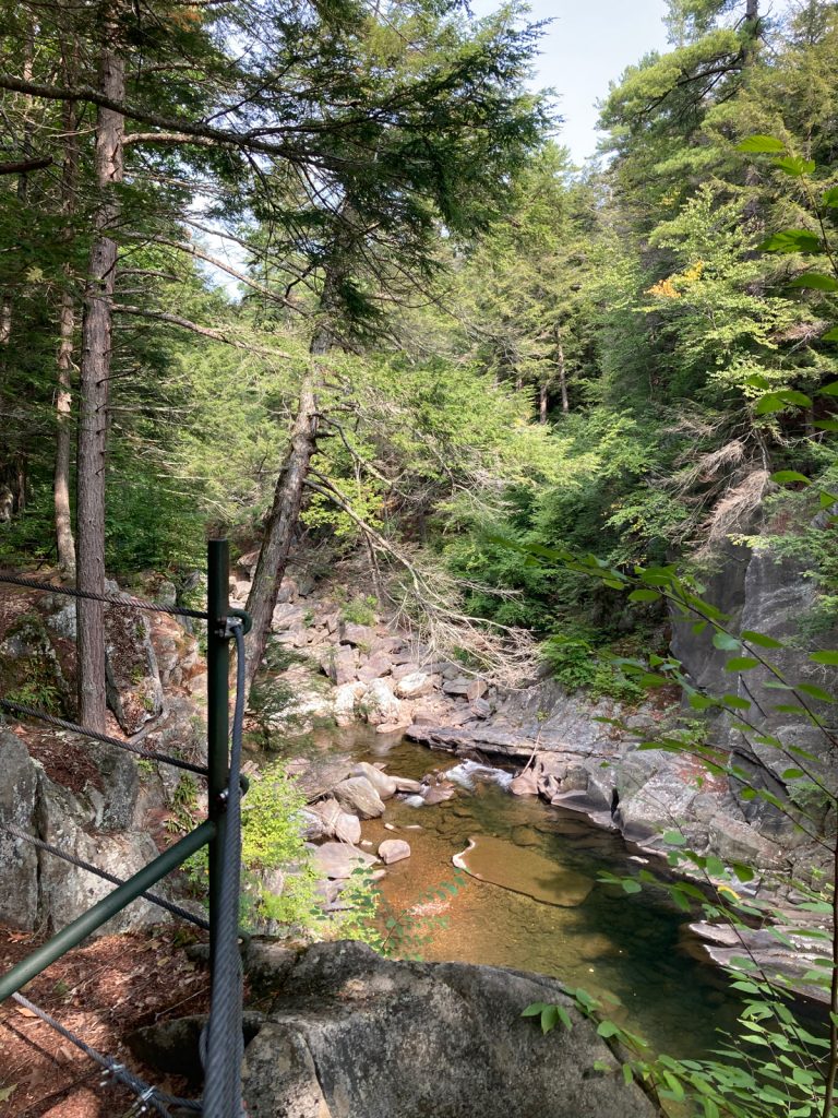Looking slightly upriver in rocky gorge, with trees above gorge walls, and a bit of railing visible in the foreground.