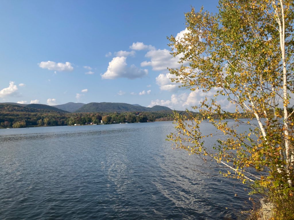 Water in a reservoir lake, with tree-covered hills on the far side, and a single small tree on the right side in the foreground.