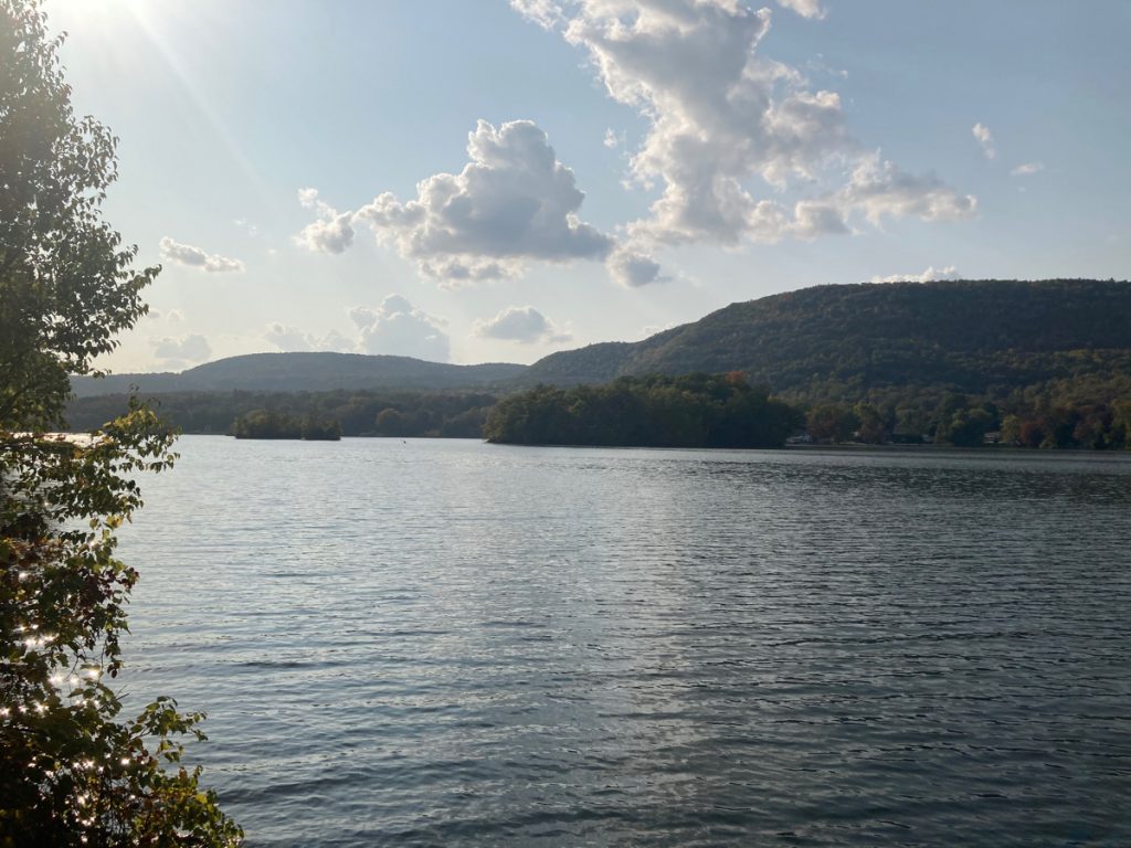 Water in a reservoir lake, with tree-covered hills on the far side, and a bit of a small tree visible on the left edge of the foreground.