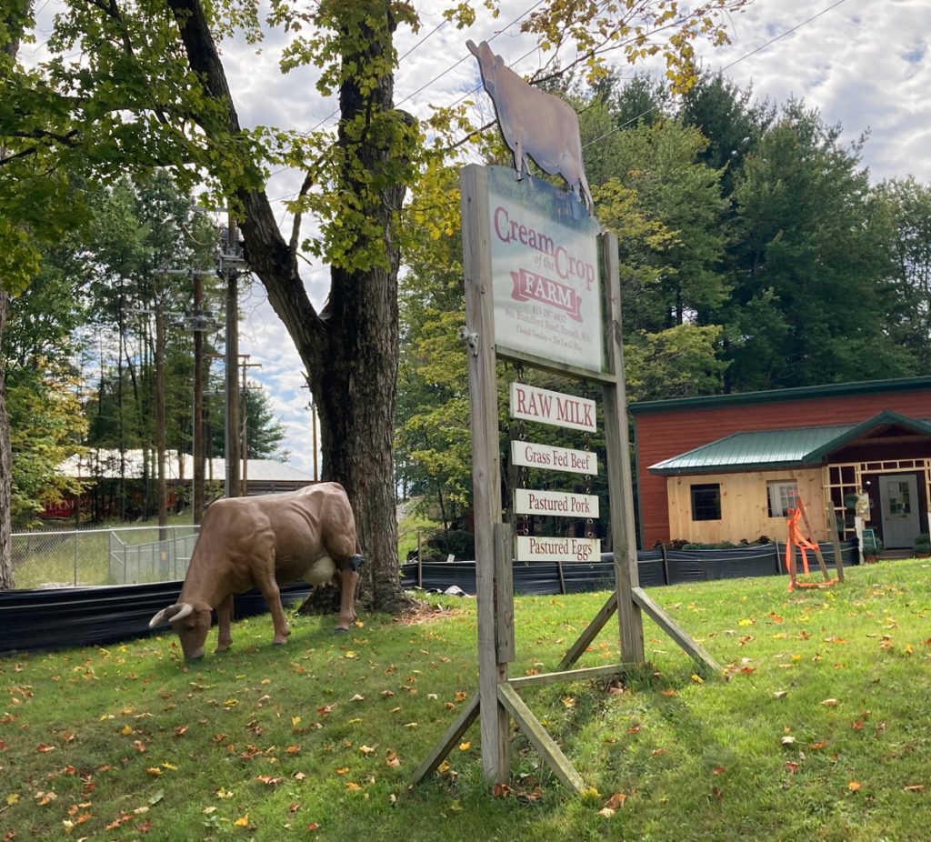 A cow statue on a lawn, next to a sign for "Cream of the Crop Farm".  Smaller signs below the main one advertise Raw milk, grass-fed beef, and other products.  A farm building is in the background.