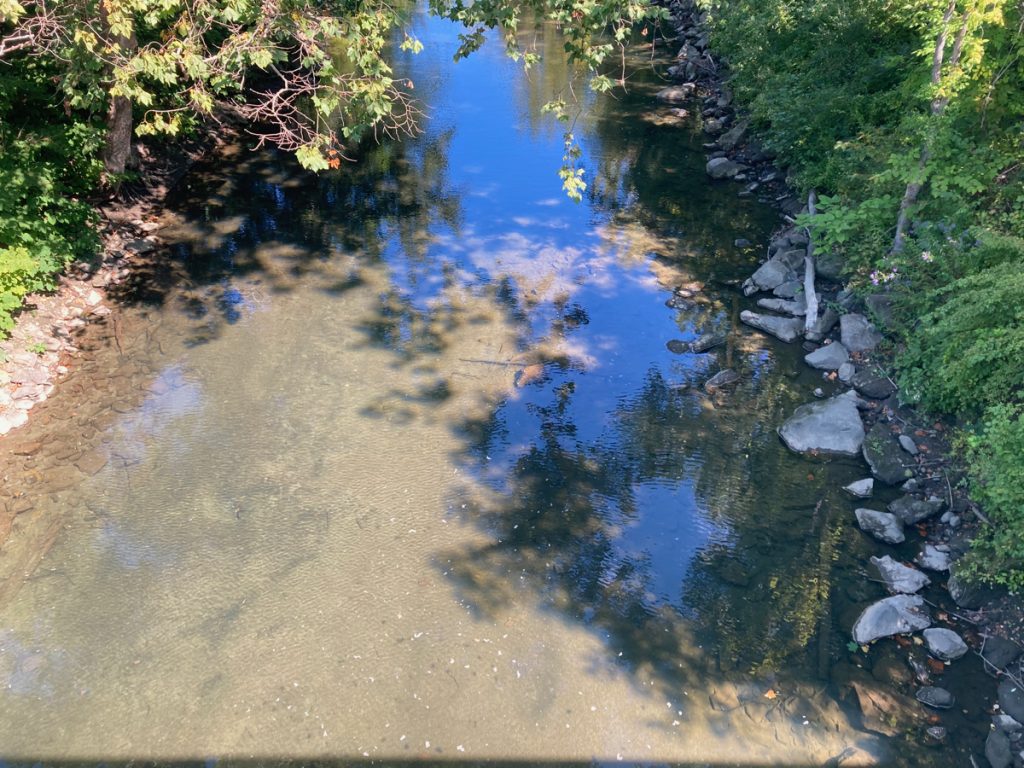 View downward of shallow, clear river water.  The river bottom is sandy, and there are rocks and some underbrush on the banks.