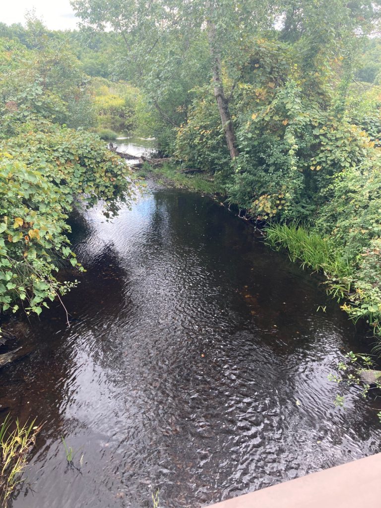 Creek with vegetation on either side, seen from up on a bridge.