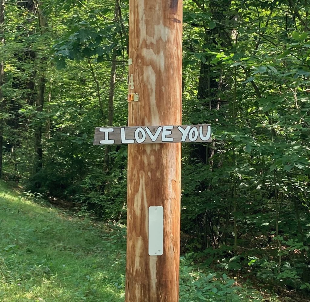 Wooden sign mounted on a telephone pole, with the words "I Love You" painted on the sign in white.  Trees behind pole.