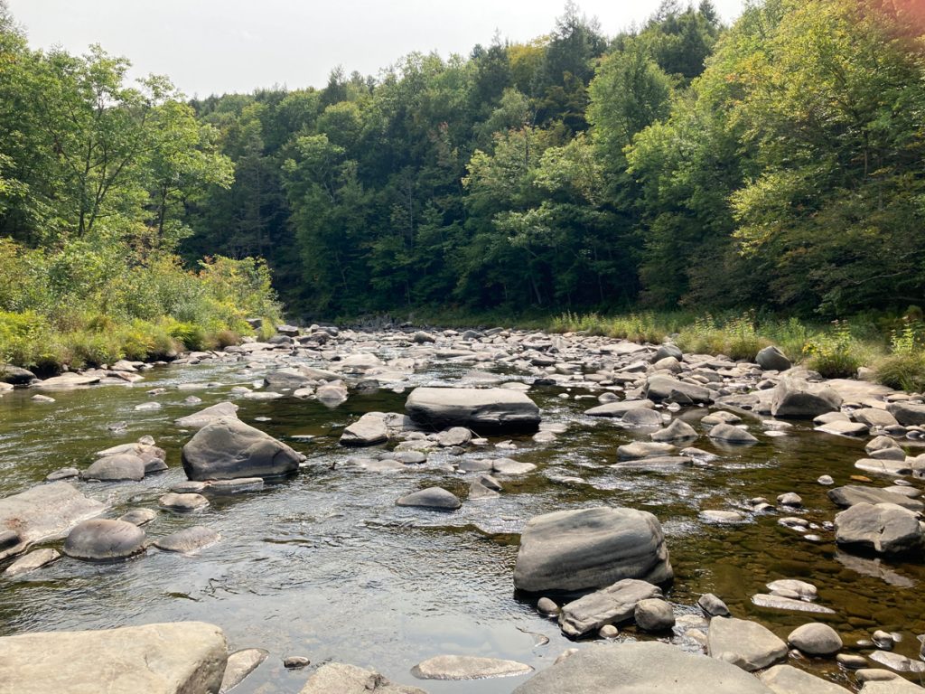 Looking downriver, with a lot of rocks in the water, and trees on either side.