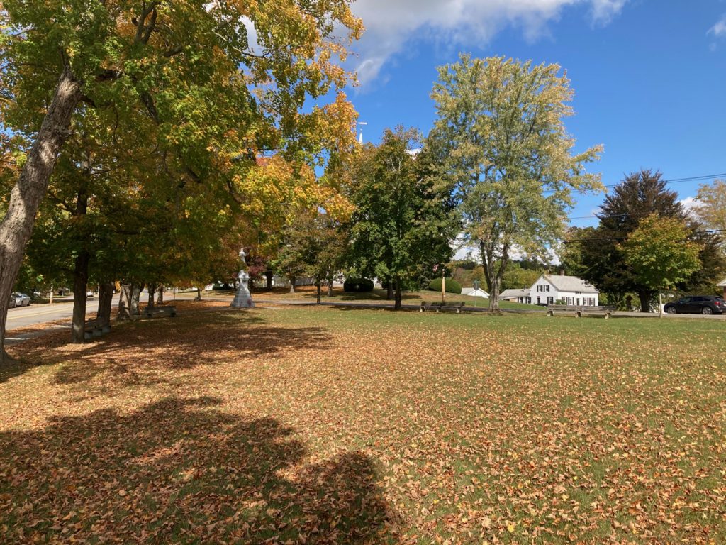 Large grassy town common with many fallen leaves.  There are trees on the left side and at the far end.