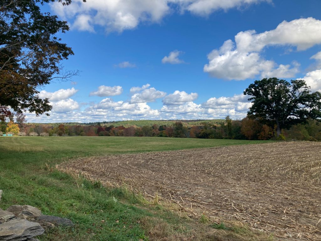 Corner of a field that corn was harvested from, with grass to the left and past the field, then trees in the far distance and a low hill beyond that.