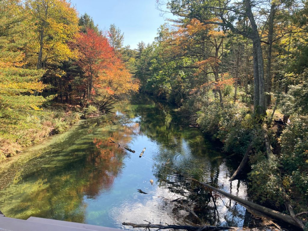 Looking along calm river with trees on both sides, and a couple of fallen branches or trunks in the water.  Some trees are showing orange color of autumn.