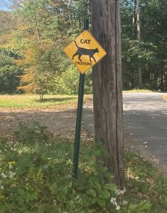 A yellow sign reading "cat crossing", with a silhouette of a cat, is on a green metal post next to a telephone pole.  There are grass and trees around, a road surface to the right, and a driveway just beyond the sign post.