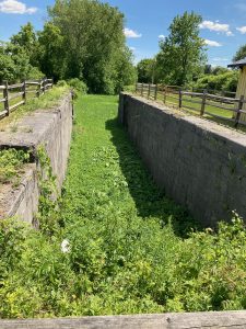 Looking between parallel stone walls of a boat lock, with grass and weeds growing in the bottom, and wooden fences along the top of the walls.