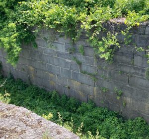 Close view of lock stone wall, with weeds above and below.